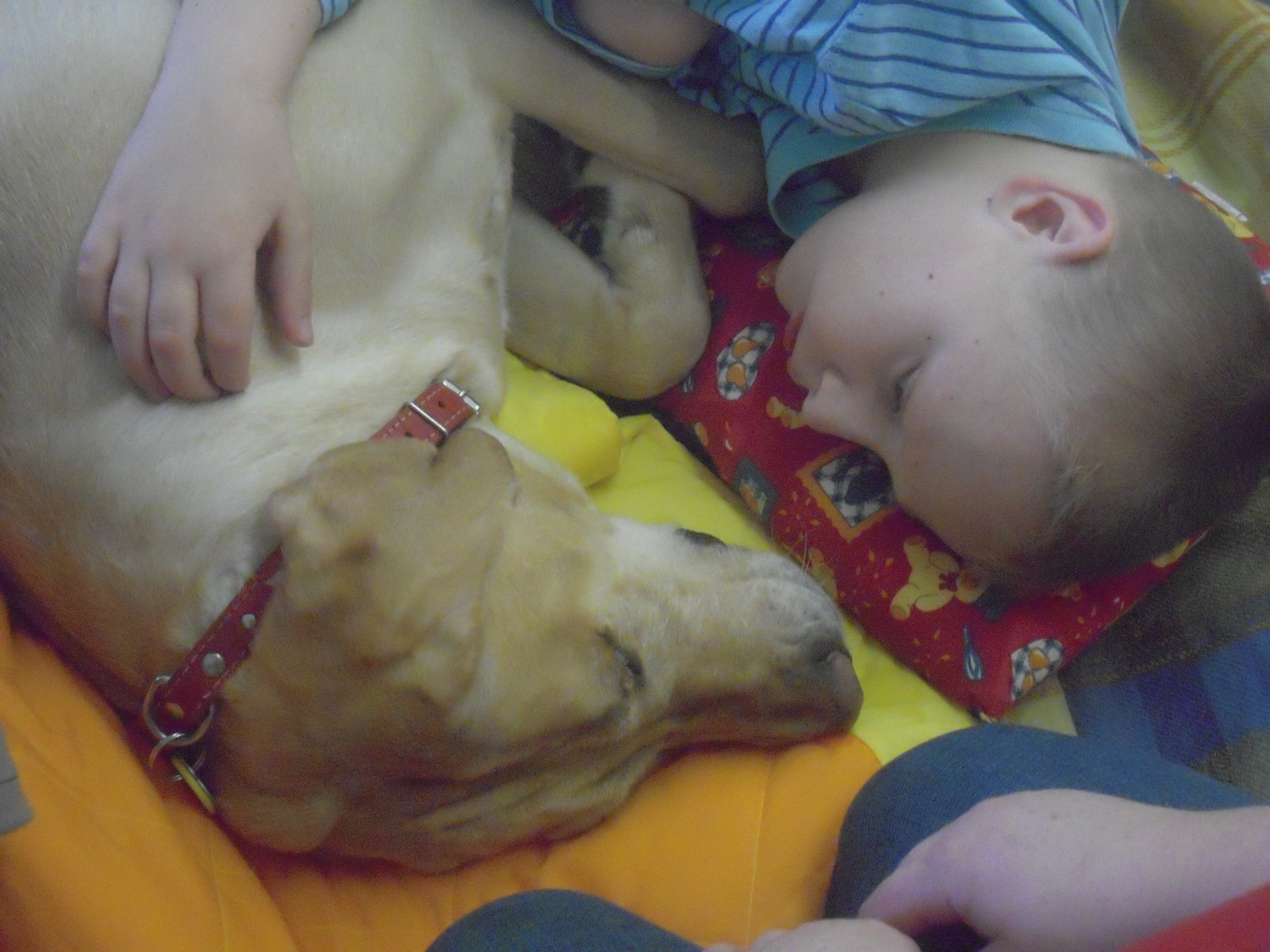 DSCN3185.JPG