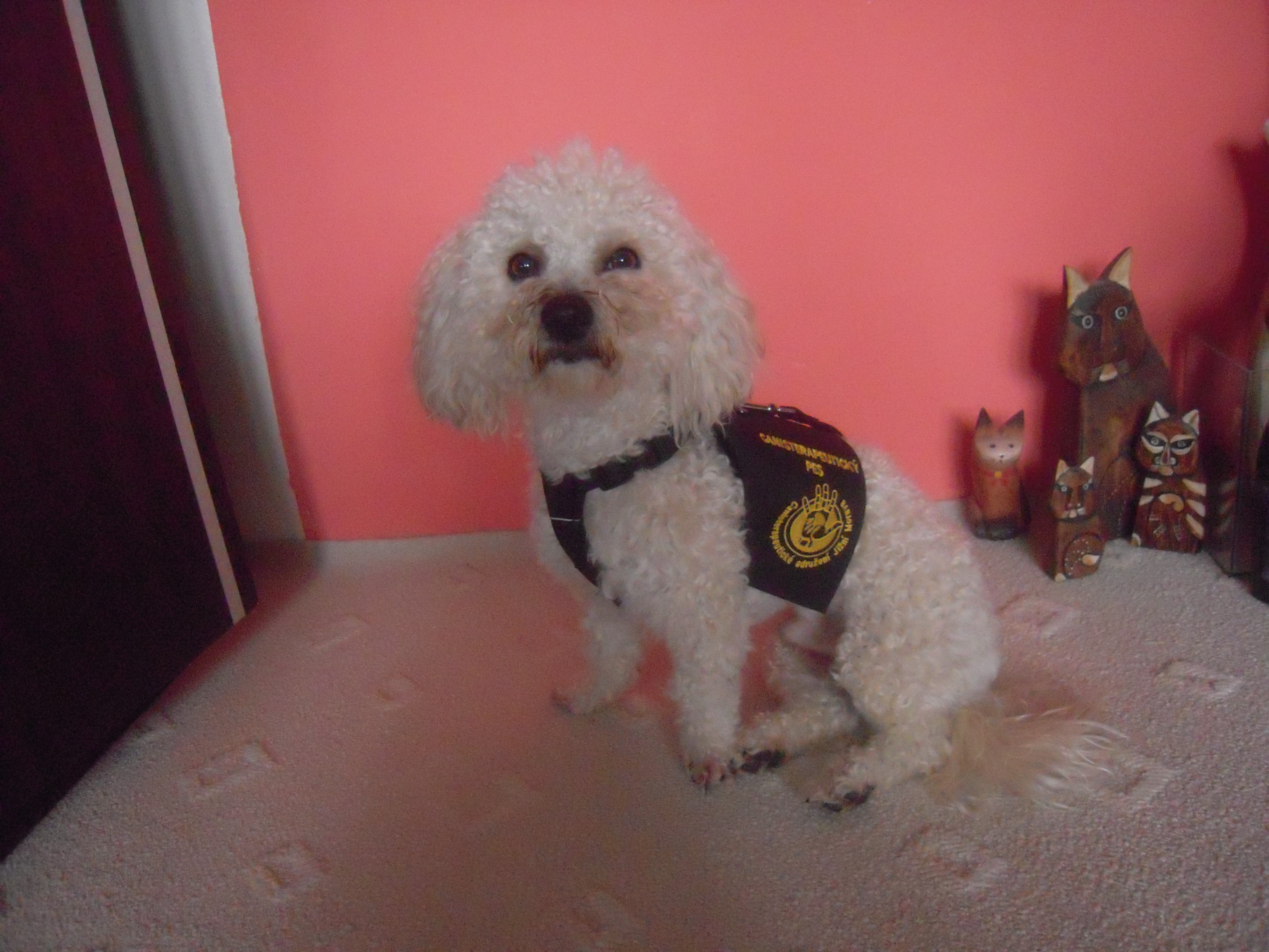 DSCN3300.JPG