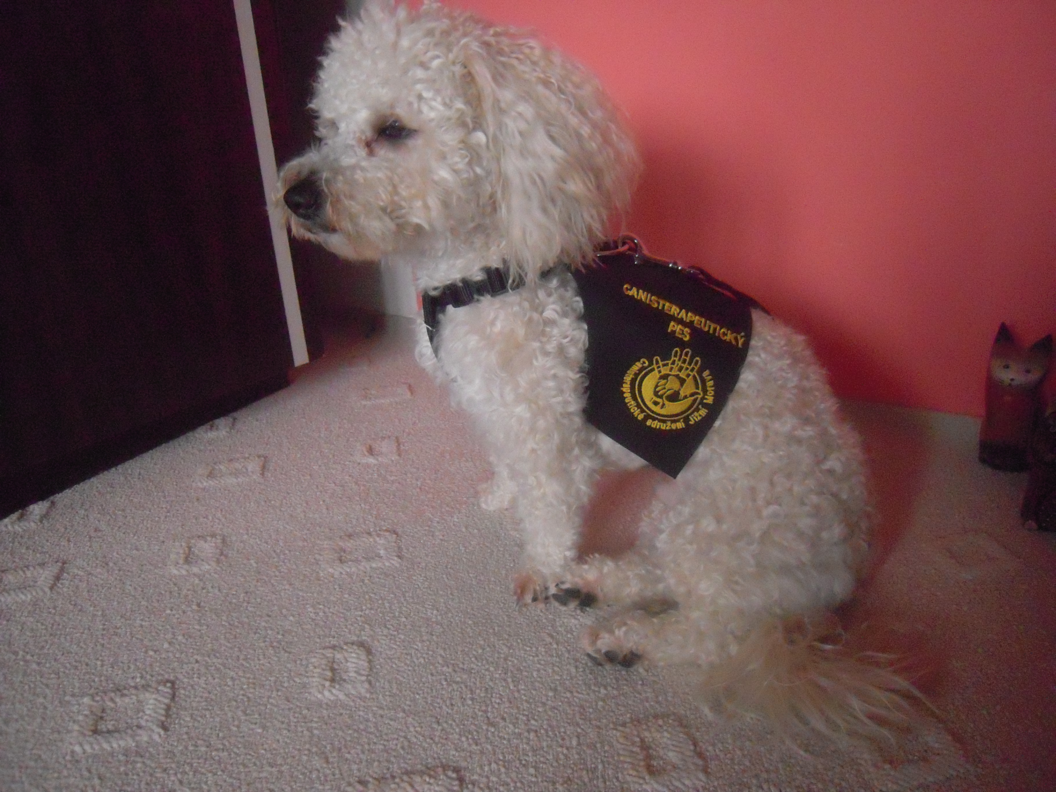 DSCN3301.JPG